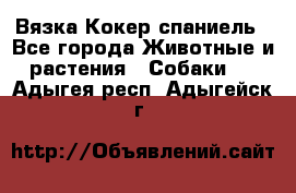 Вязка Кокер спаниель - Все города Животные и растения » Собаки   . Адыгея респ.,Адыгейск г.